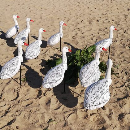 Geese Windsocks