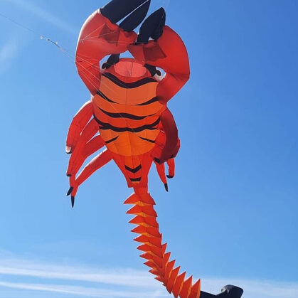 Red Scorpion (15m)