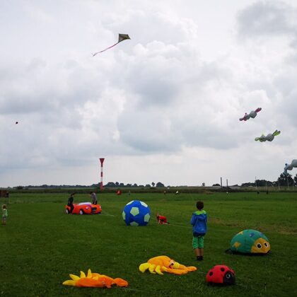 Ladybugs, Crabs, Football, Kites