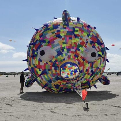 Puffer Fish (6,5m)