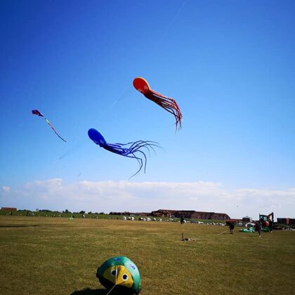 Octopuses (15m), Australian Ladybug