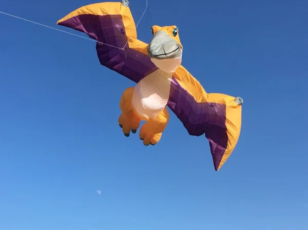 Pterodactylus (9m x 9m)