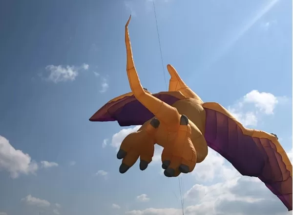 Pterodactylus (9m x 9m)