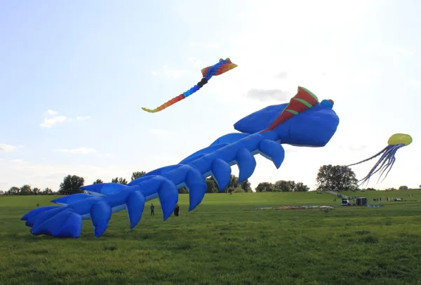 Big Blue Skeleton (27m)