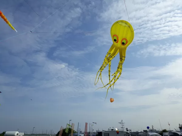 Octopus (16m)