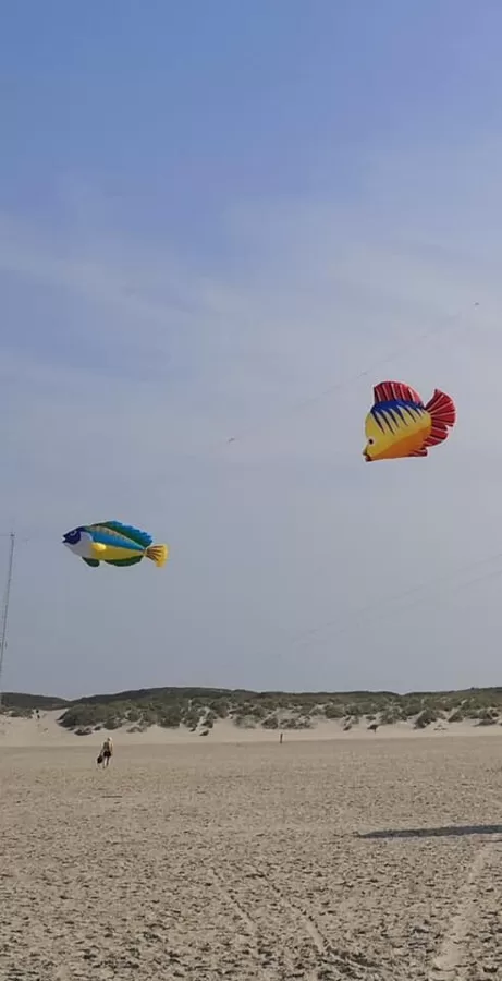 Fishes (2,4 - 3,6m)