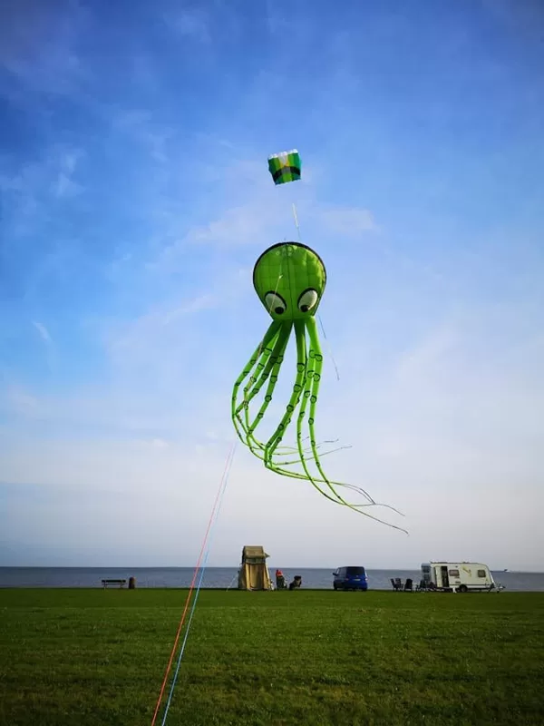 Octopus (15m)