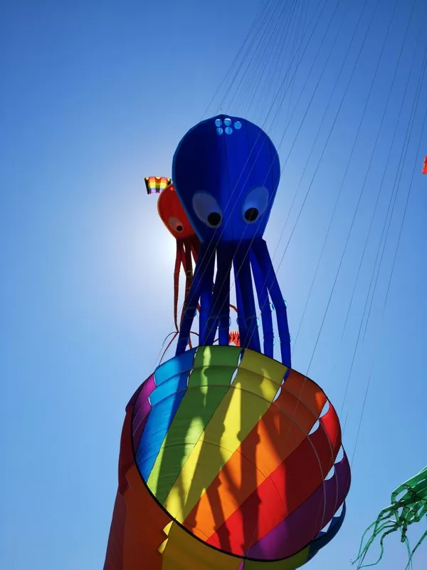 Octopuses (15m)