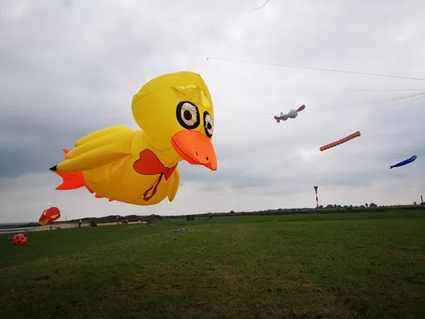 Yaya Duck (5m)