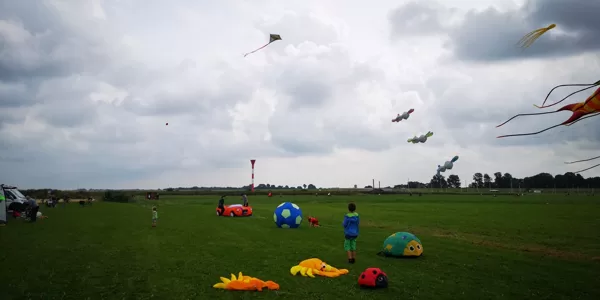 Ladybugs, Crabs, Football, Kites
