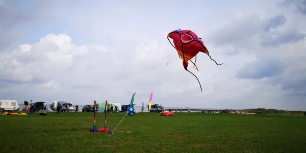 Fish (8m)