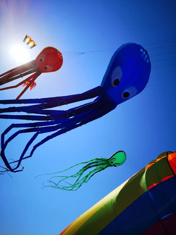 Octopuses (15m)