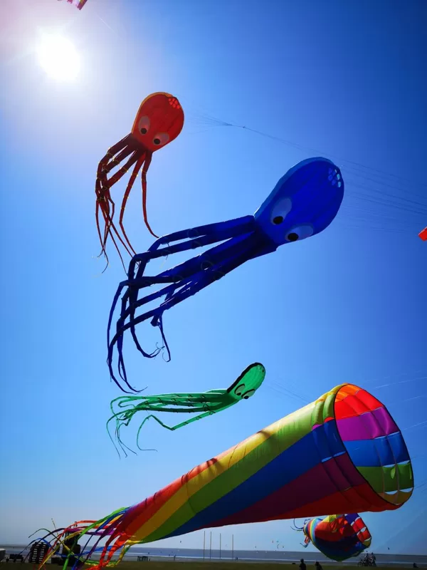 Octopuses (15m)