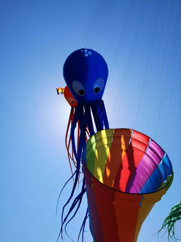 Octopuses (15m)