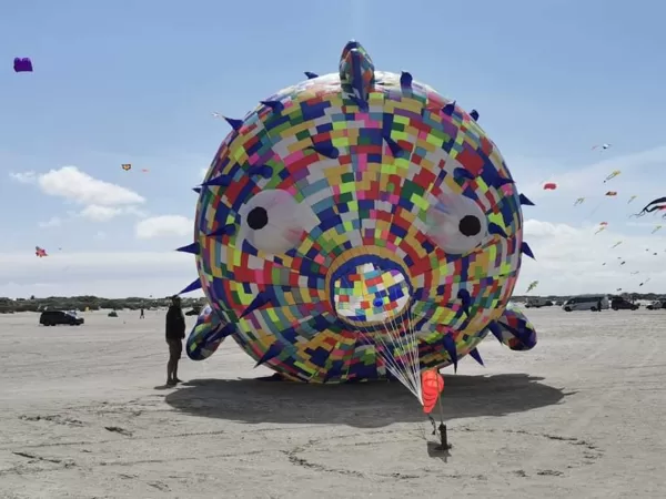 Puffer Fish (6,5m)