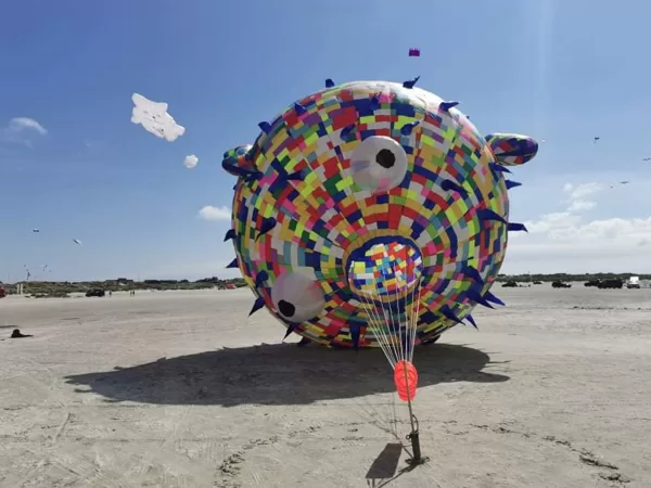 Puffer Fish (6,5m)