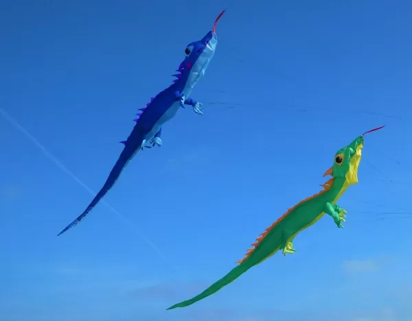 Blue and Green Lizard (10m)